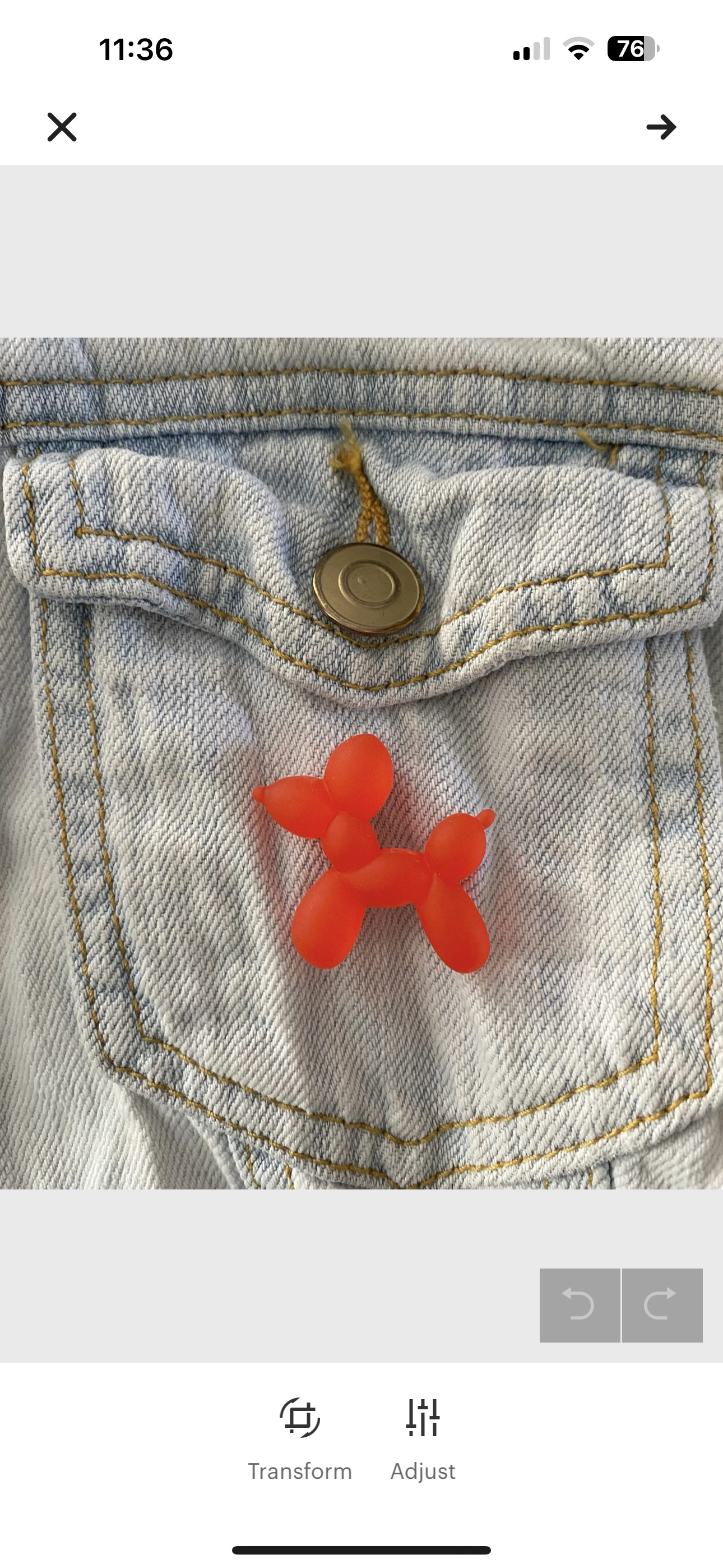Balloon Dog resin brooch 6 colours