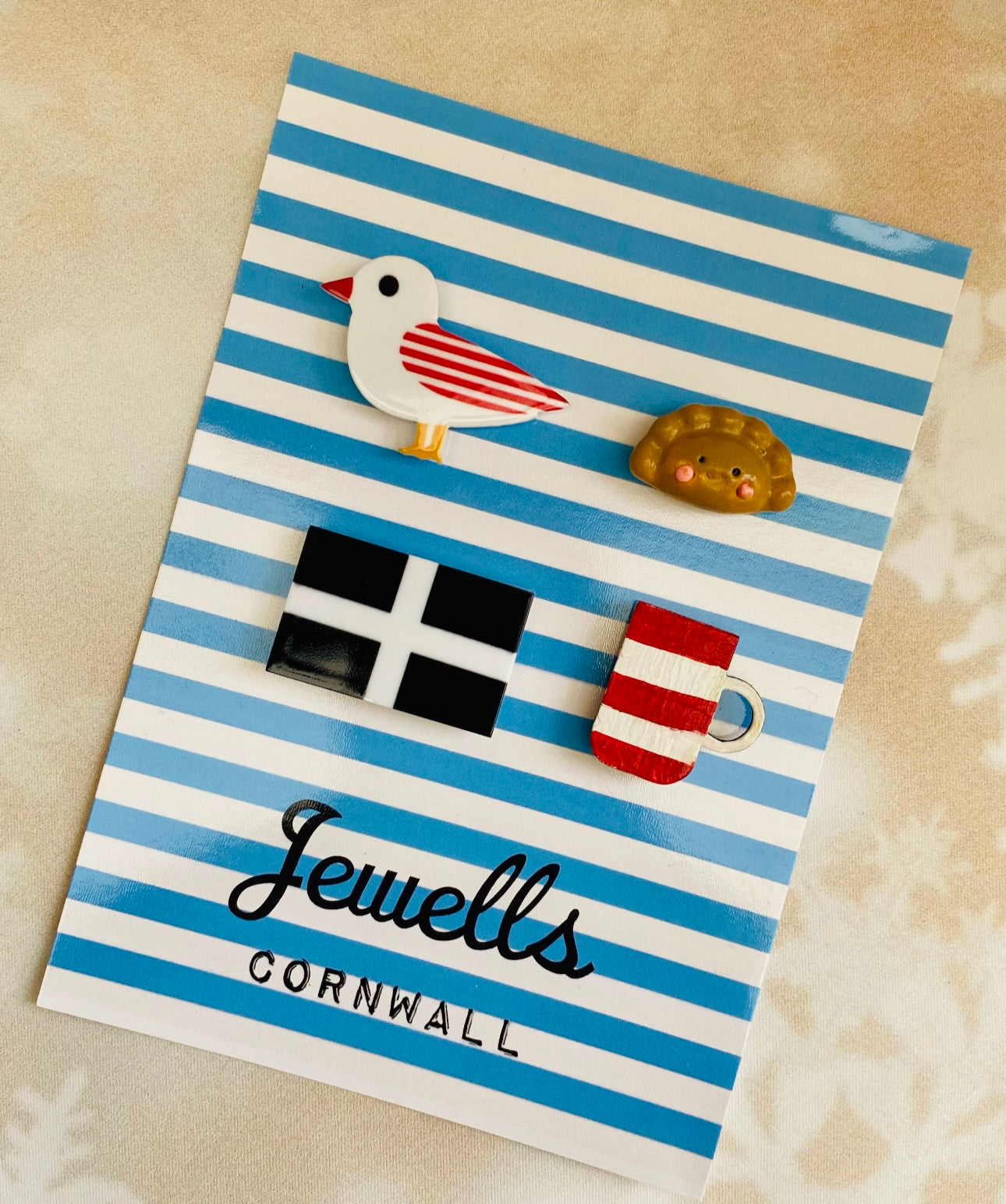 Set Cornish fridge magnets pasty flag seagull