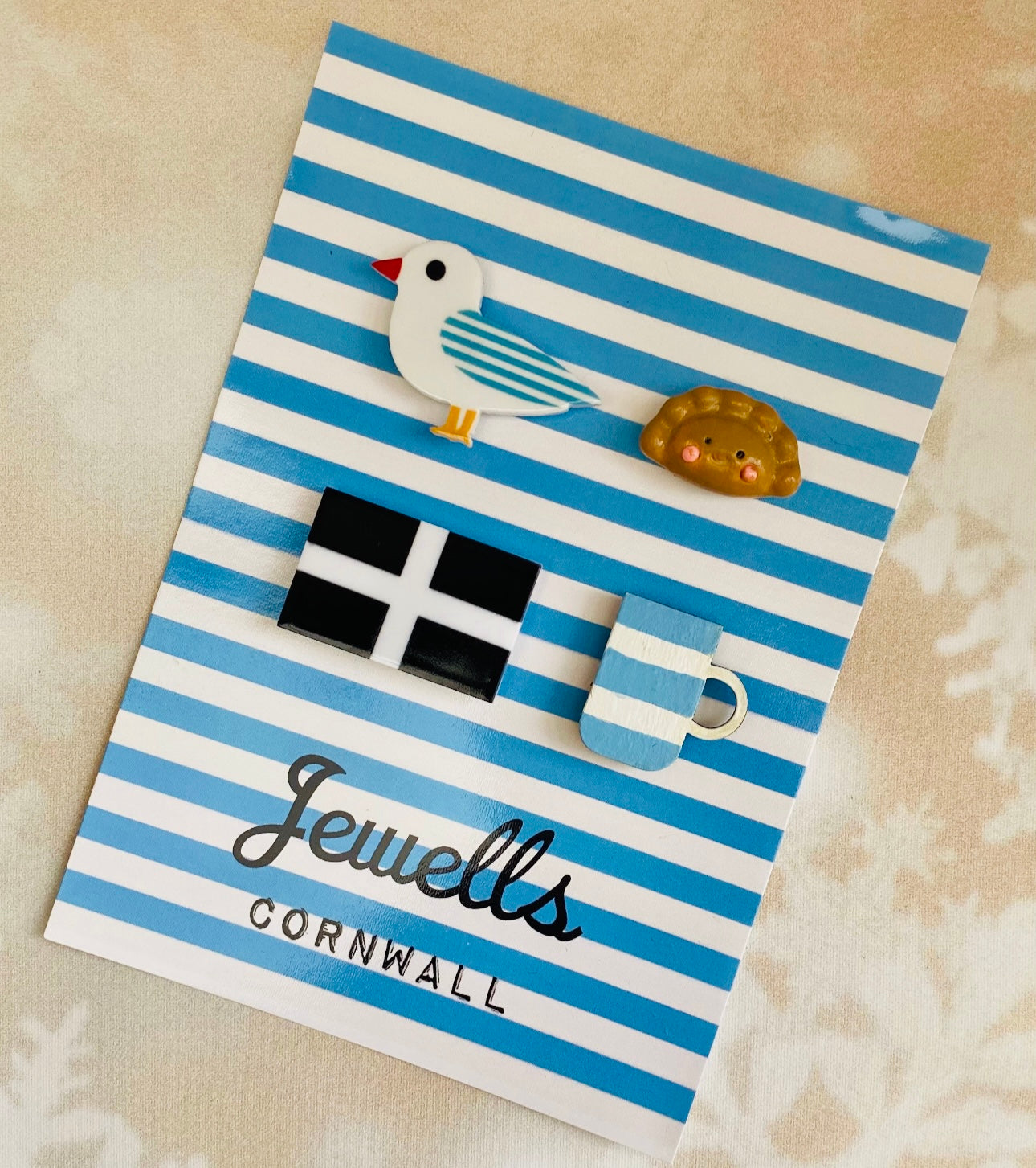 Set Cornish fridge magnets pasty flag seagull