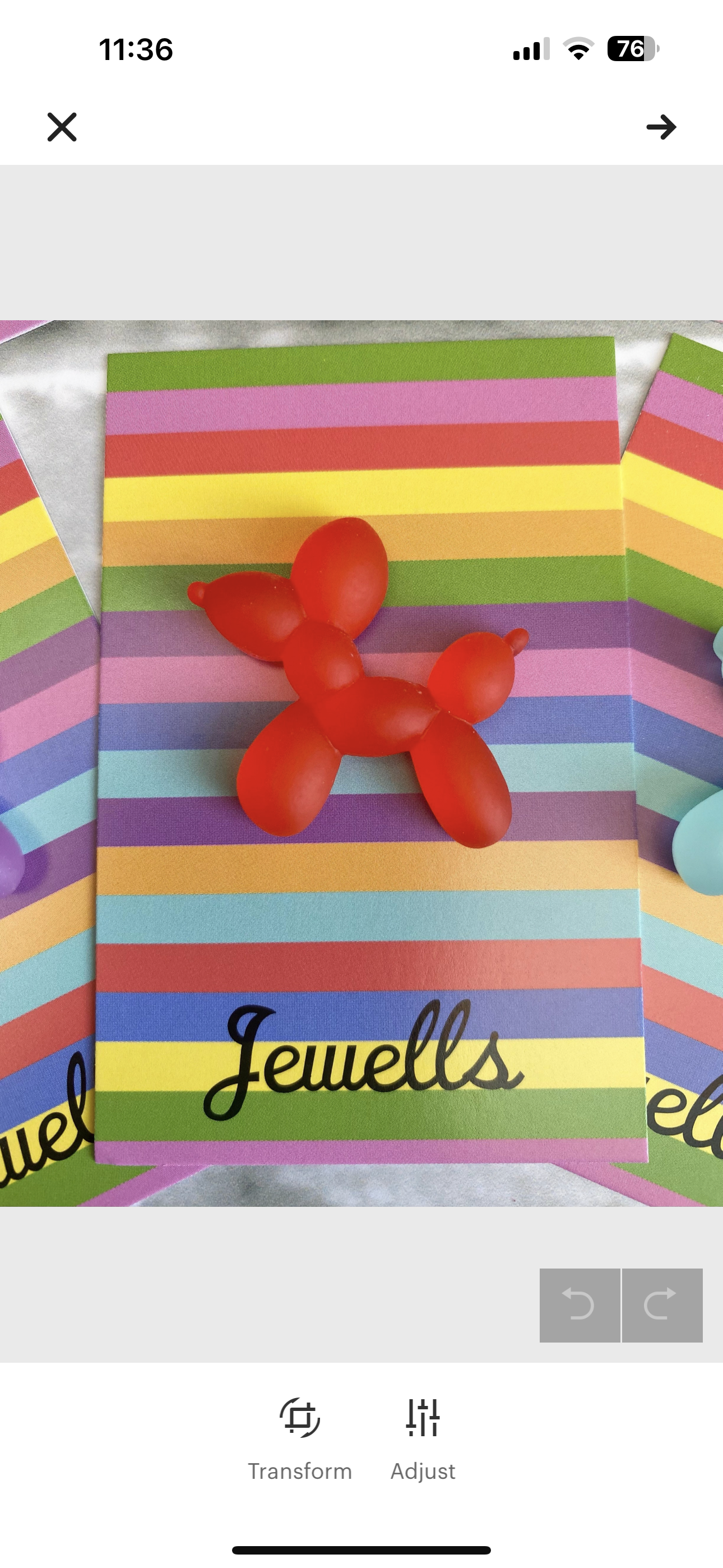 Balloon Dog resin brooch 6 colours