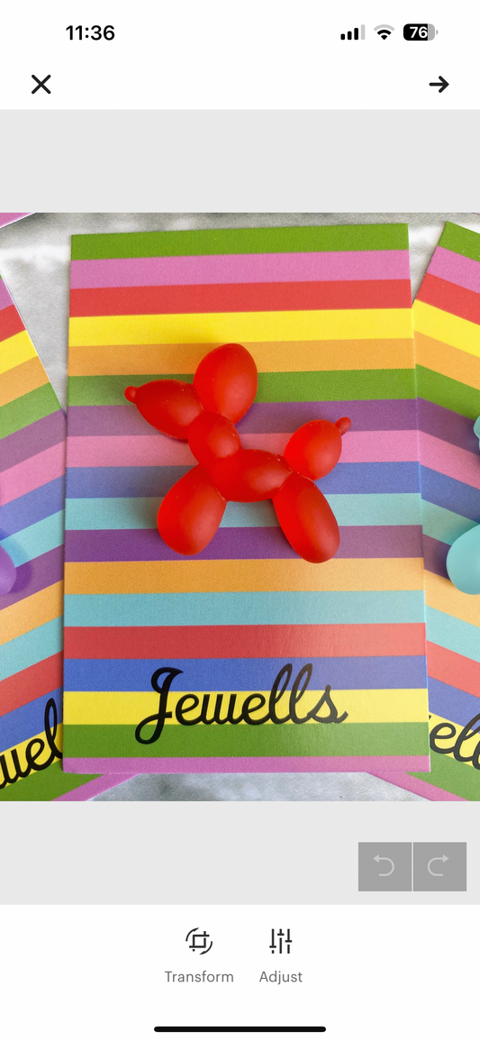 Balloon Dog resin brooch 6 colours