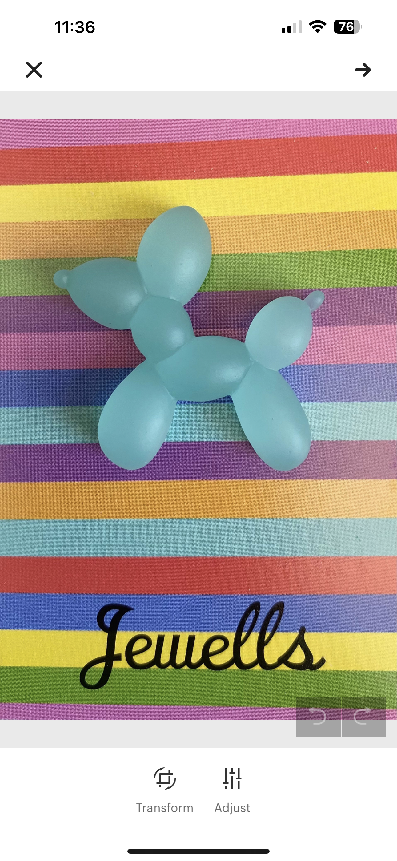 Balloon Dog resin brooch 6 colours